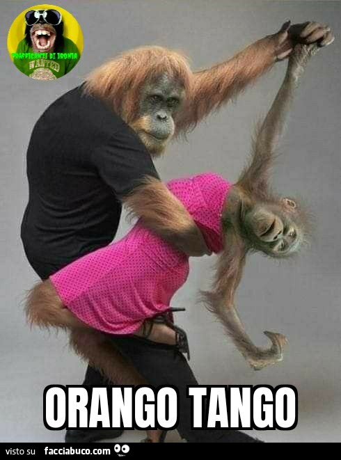 Orango tango
