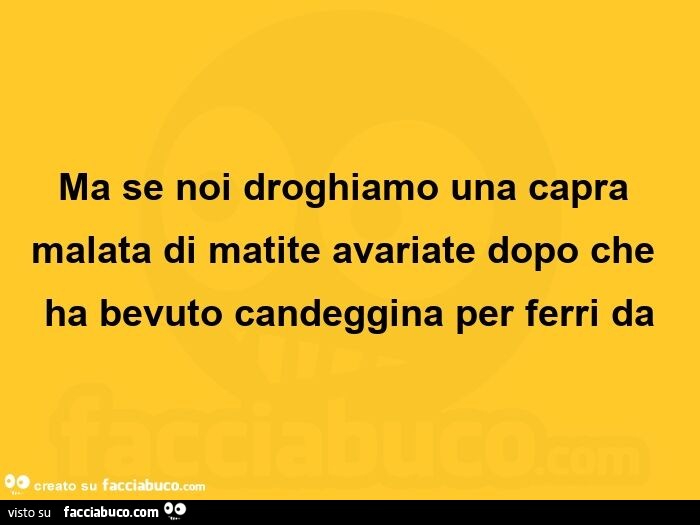 Ma se noi droghiamo una capra malata di matite avariate dopo che ha bevuto candeggina per ferri da