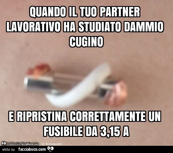 Quando il tuo partner lavorativo ha studiato dammio cugino e ripristina correttamente un fusibile da 3,15 a