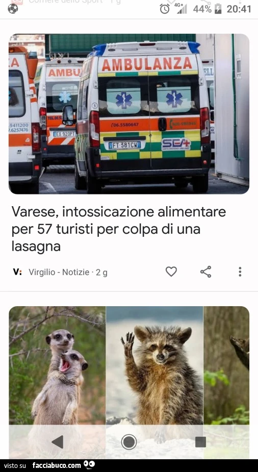 Vaccata