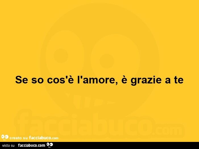Se so cos'è l'amore, è grazie a te