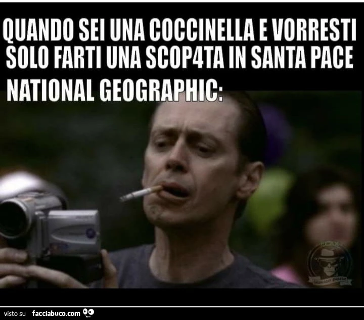 Quando sei una coccinella e vorresti solo farti una scopata