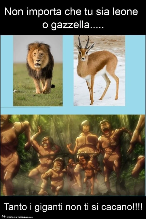 Non importa che tu sia leone o gazzella&hellip; tanto i giganti non ti si cacano