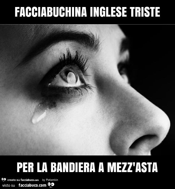 Facciabuchina inglese triste per la bandiera a mezz'asta