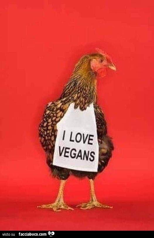 Gallina I love vegans