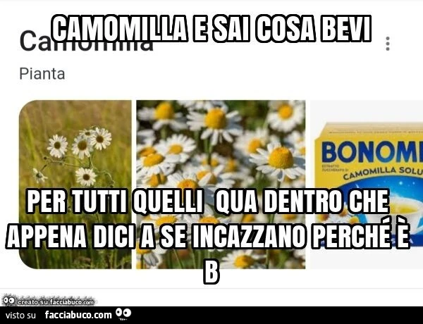 Camomilla e sai cosa bevi per tutti quelli qua dentro che appena dici a se incazzano perché è b