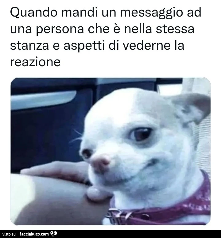 Quando mandi un messaggio ad una persona che è nella stessa stanza e aspetti di vederne la reazione