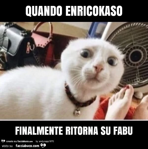Quando enricokaso finalmente ritorna su fabu