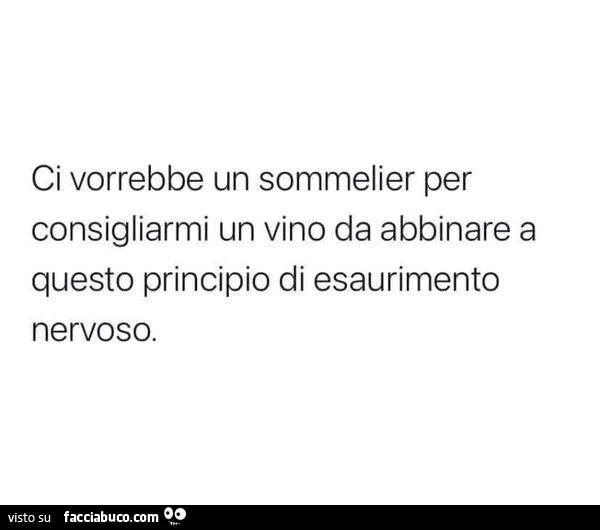 Ci vorrebbe un sommelier per consigliarmi un vino da abbinare a questo principio di esaurimento nervoso