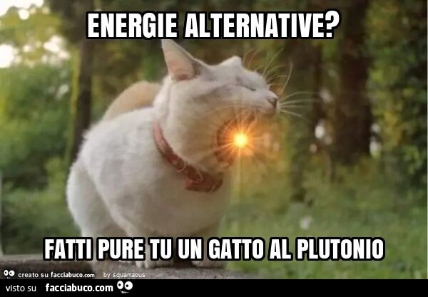 Energie alternative? Fatti pure tu un gatto al plutonio