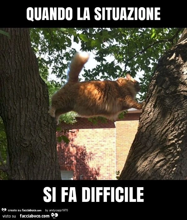 Quando la situazione si fa difficile