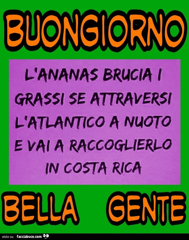 Vaccata