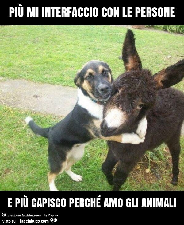 Più mi interfaccio con le persone e più capisco perché amo gli animali