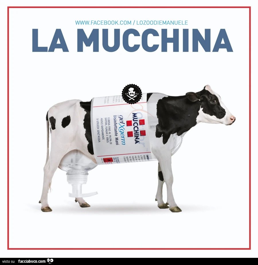 La mucchina