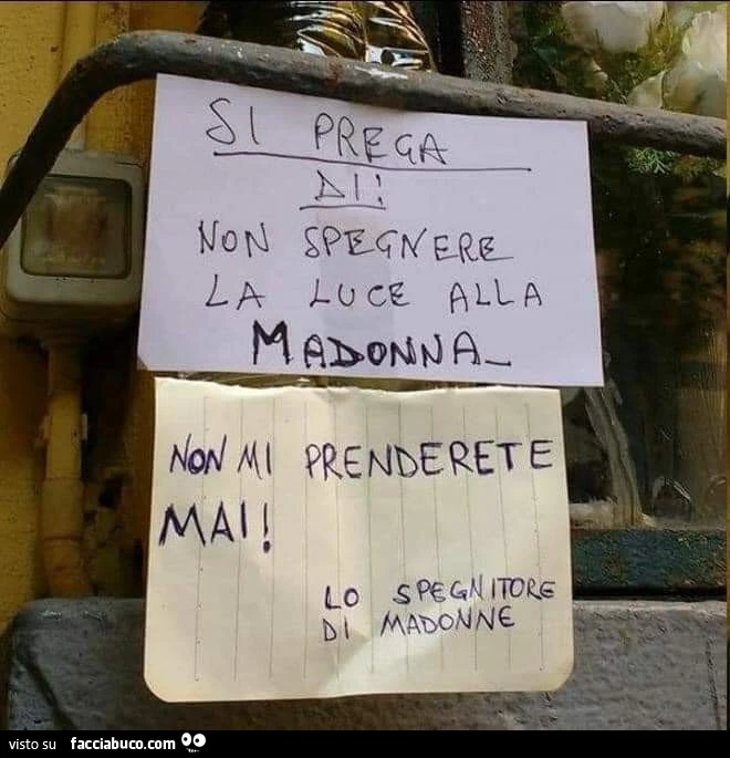 Vaccata