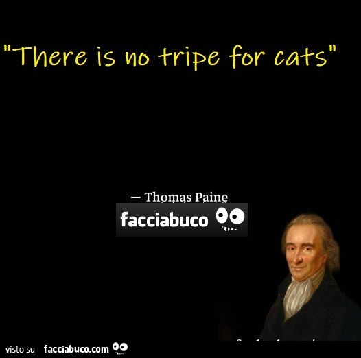 There is no tripe for cats