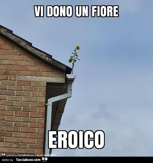 Vi dono un fiore eroico
