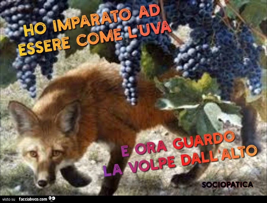 La volpe e l'uva