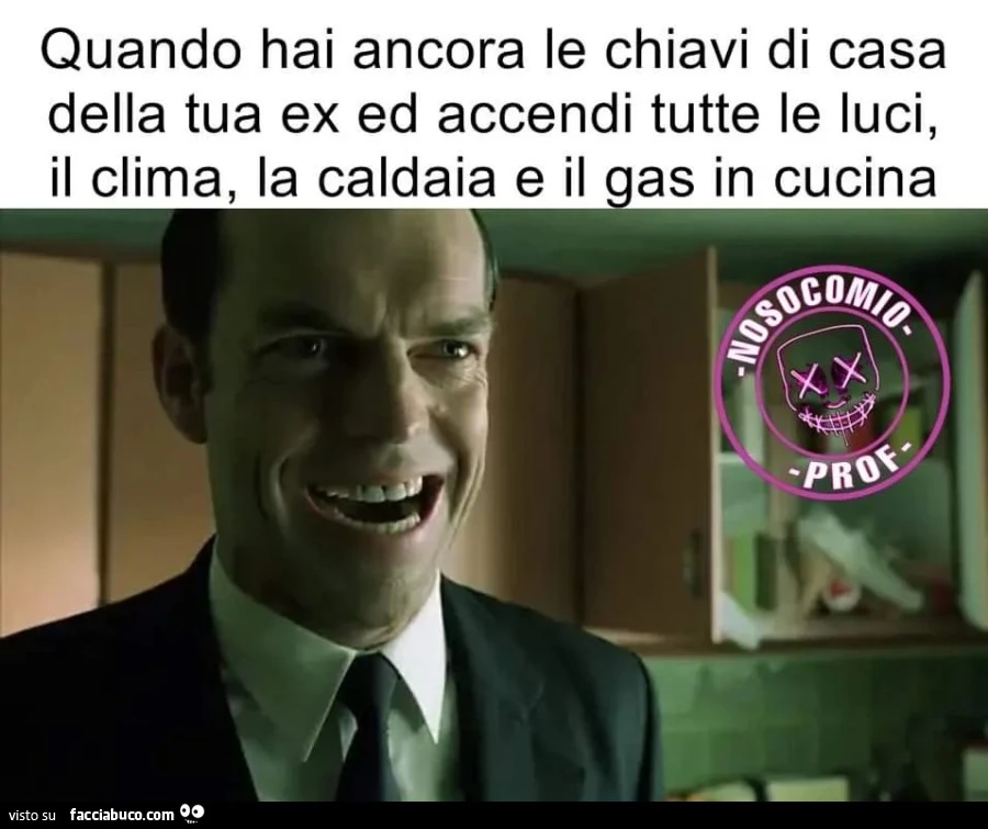 Vaccata