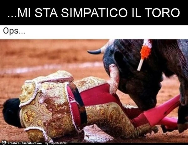 Mi sta simpatico il toro