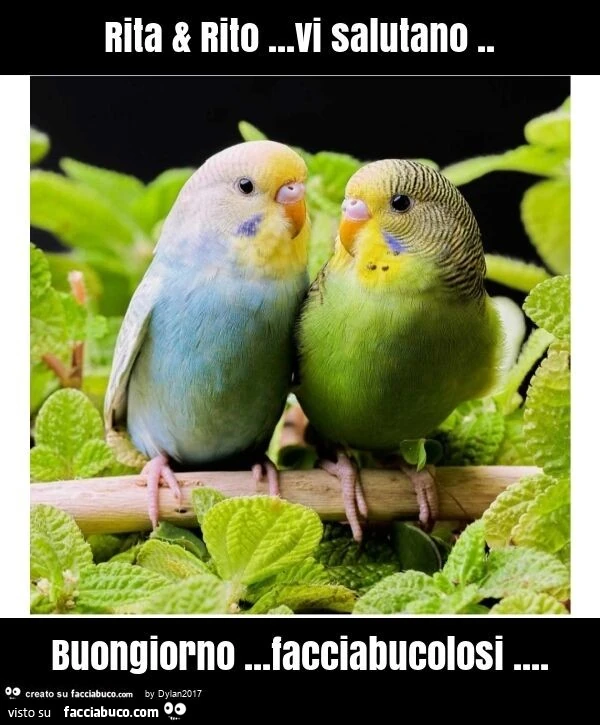 Rita & rito&hellip; vi salutano. Buongiorno&hellip; facciabucolosi