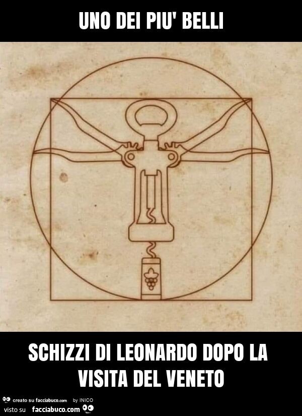 Uno dei più belli schizzi di leonardo dopo la visita del veneto
