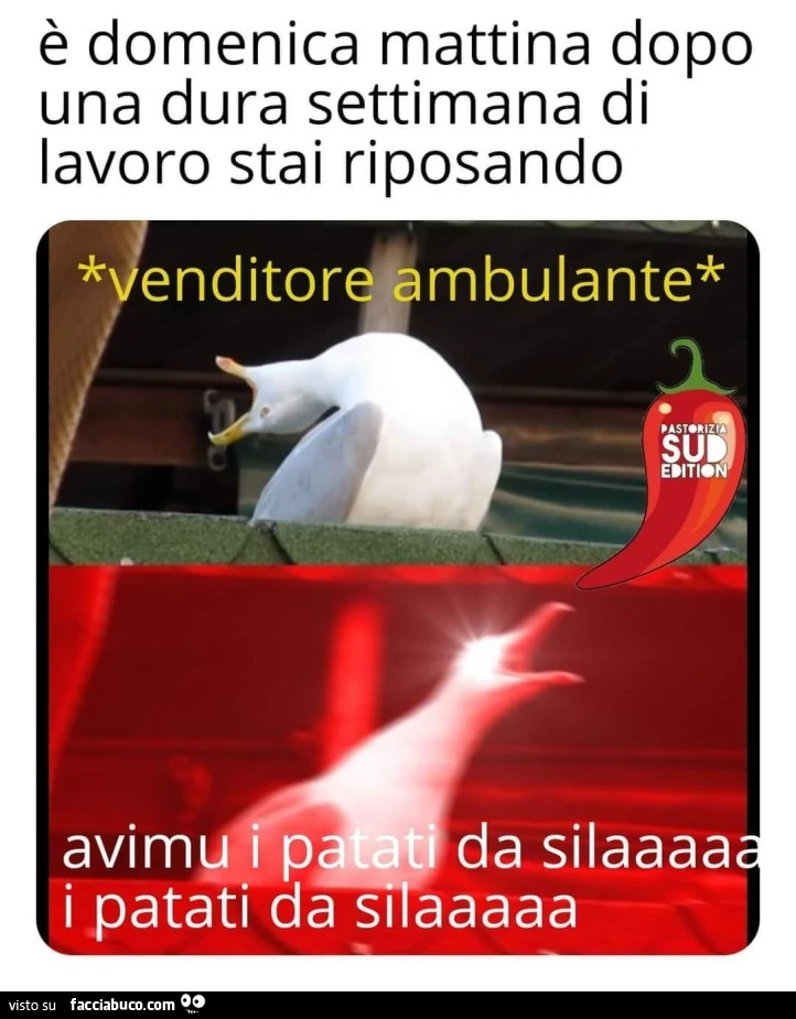 Neanche la domenica si può riposare