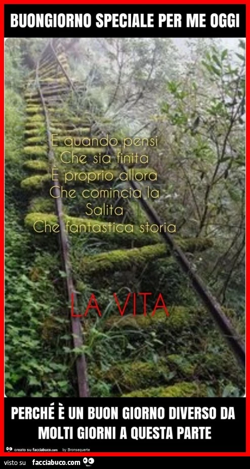 Buongiorno speciale per me oggi perché è un buon giorno diverso da molti giorni a questa parte