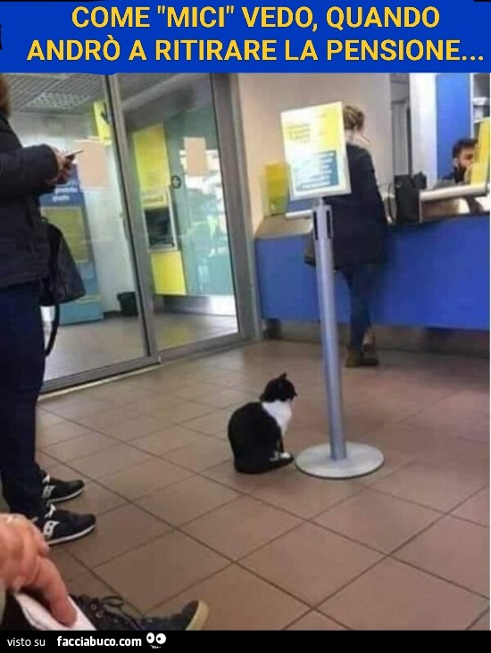 Come mici vedo, quando andrò a ritirare la pensione…