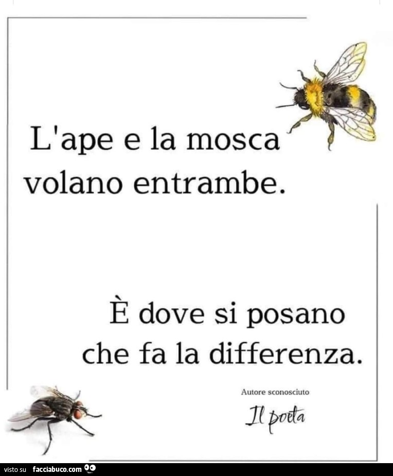L'ape e la mosca volano entrambe. È Dove si posano che fa la differenza