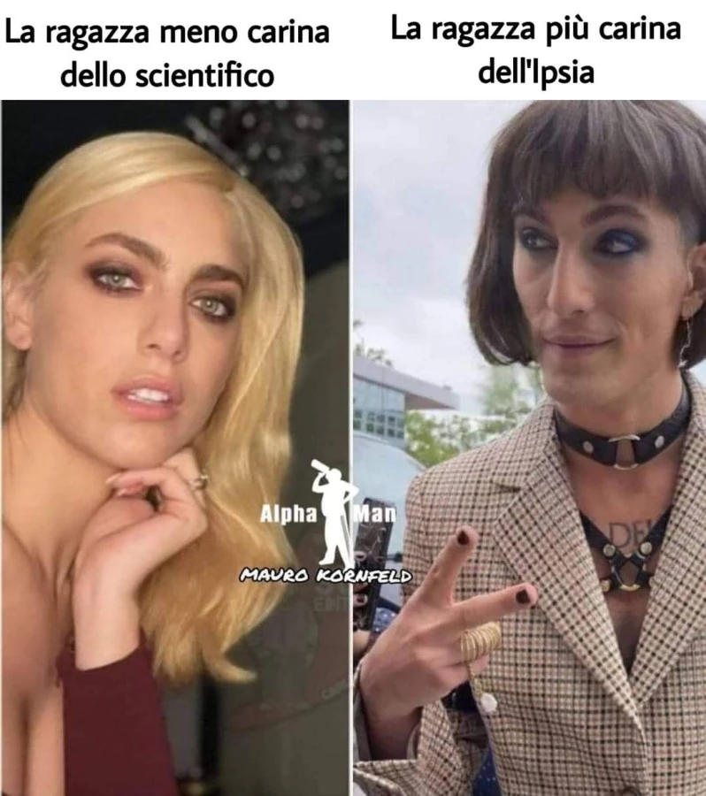 Ipsia e liceo scientifico