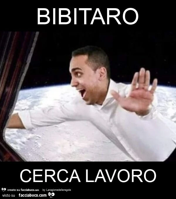 Bibitaro cerca lavoro
