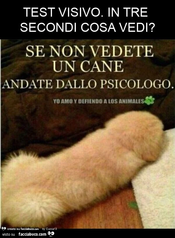 Test visivo. In tre secondi cosa vedi?