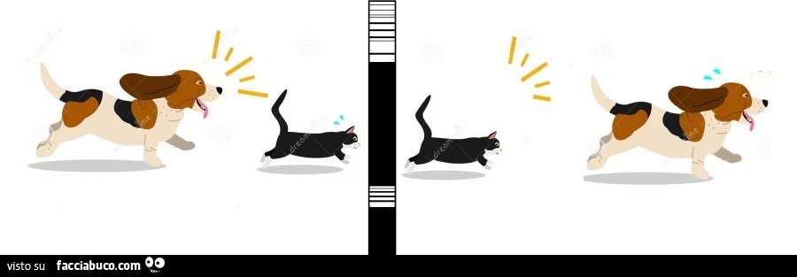 Gattosullivan