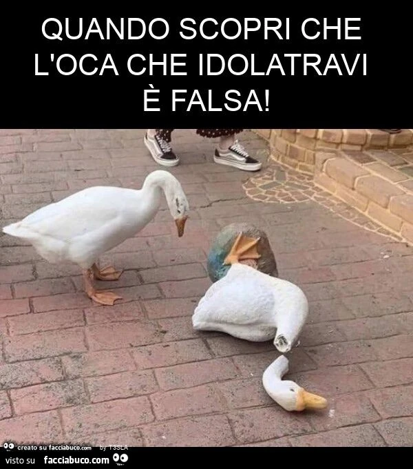 Quando scopri che l'oca che idolatravi è falsa