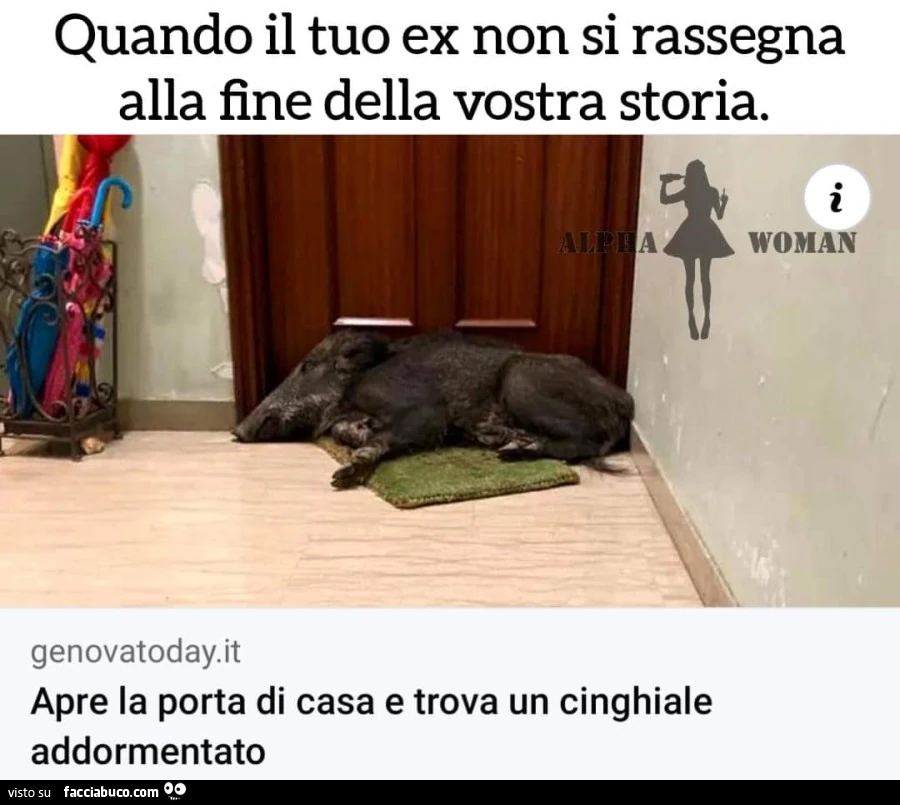 Vaccata