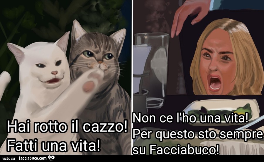 Vaccata