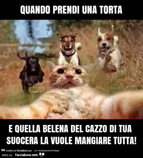 Quando prendi una torta e quella belena del cazzo di tua suocera la vuole mangiare tutta