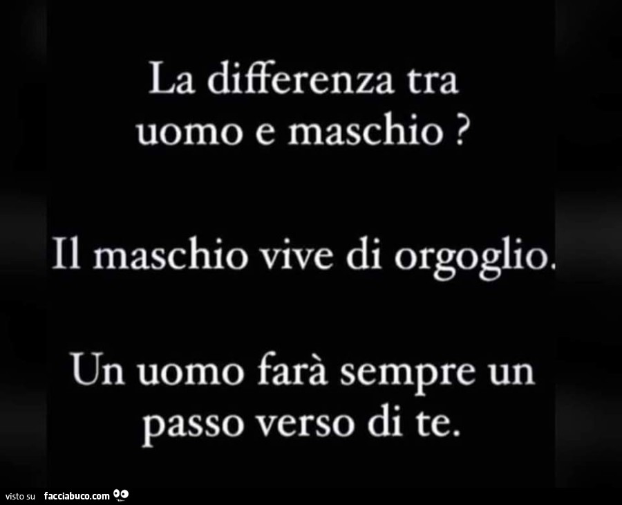 La differenza tra uomo e maschio? Il maschio vive di orgoglio. Un uomo farà sempre un passo verso di te