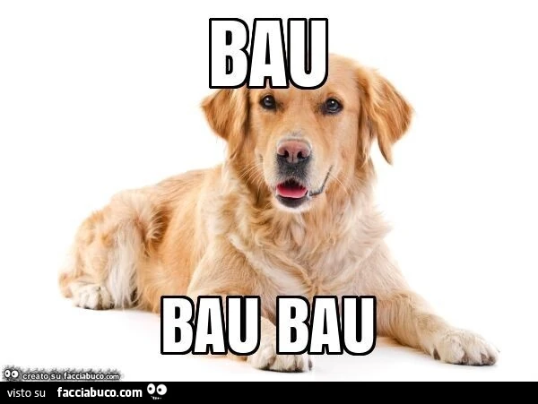 Bau bau bau