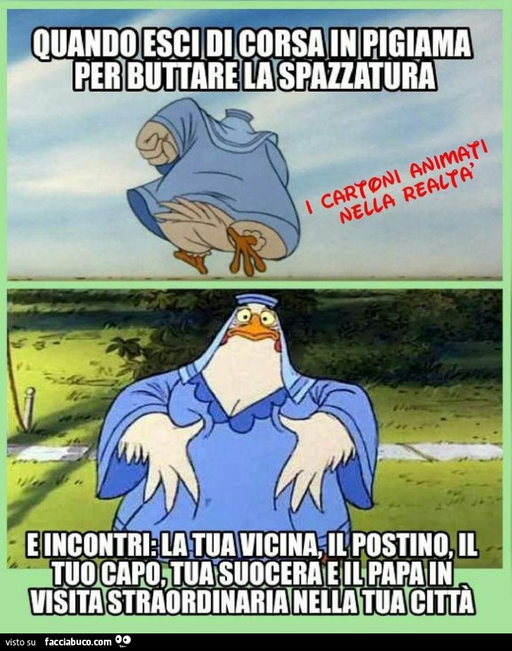 Vaccata