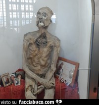 Vaccata