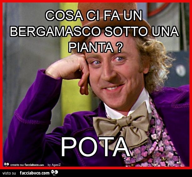 Cosa ci fa un bergamasco sotto una pianta? Pota