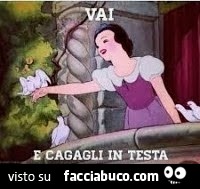 Vaccata