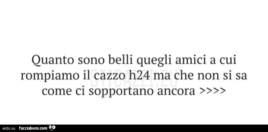 Quanto sono belli quegli amici a cui rompiamo il cazzo h24 ma che non si sa come ci sopportano ancora