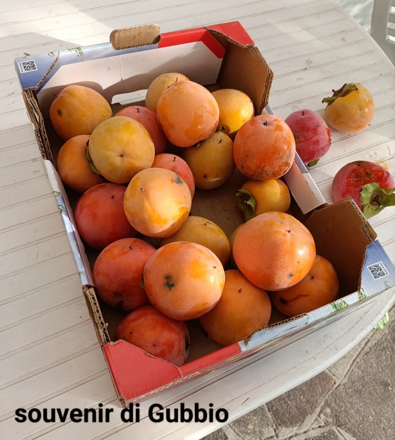 Souvenir Gubbio