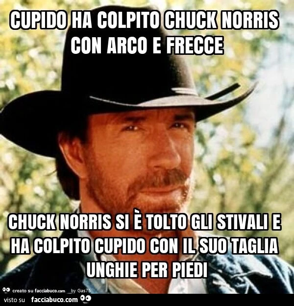 Cupido ha colpito chuck norris con arco e frecce chuck norris si è tolto gli stivali e ha colpito cupido con il suo taglia unghie per piedi