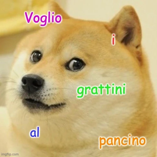 Cane carino vuole grattini