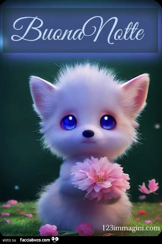 Saluti notte