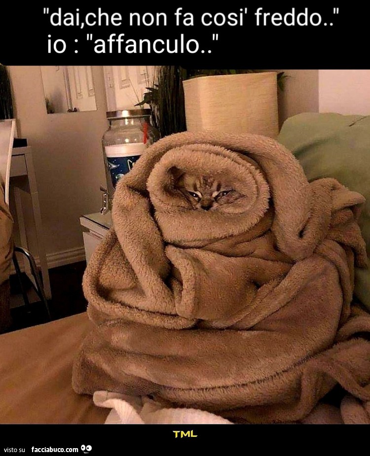 Freddo